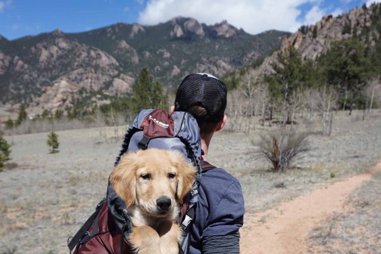 Como Superar Desafios em 8 Passos